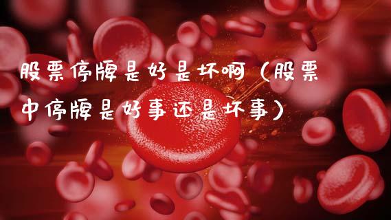 股票停牌是好是坏啊（股票中停牌是好事还是坏事）_https://www.kuaijiepai.net_股票理论_第1张