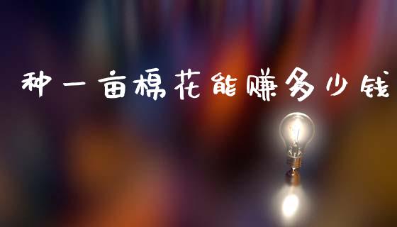种一亩棉花能赚多少钱_https://www.kuaijiepai.net_期货资讯_第1张