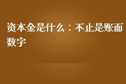 资本金是什么：不止是账面数字_https://www.kuaijiepai.net_期货理财_第1张
