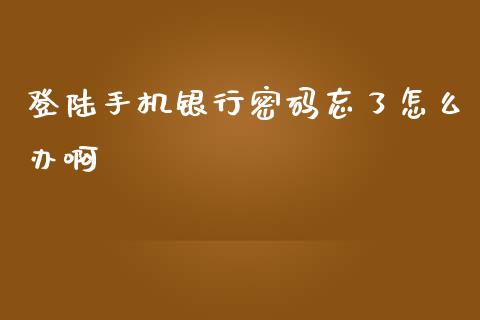 登陆手机银行密码忘了怎么办啊_https://www.kuaijiepai.net_新股新闻_第1张