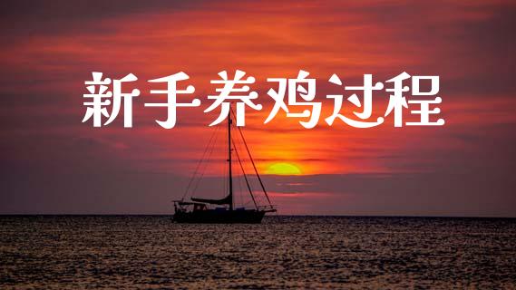 新手养鸡过程_https://www.kuaijiepai.net_国际期货_第1张