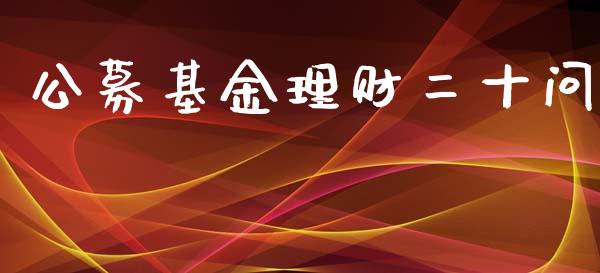 公募基金理财二十问_https://www.kuaijiepai.net_期货理财_第1张