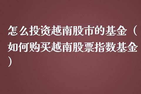 怎么投资越南股市的基金（如何购买越南股票指数基金）_https://www.kuaijiepai.net_期货理财_第1张