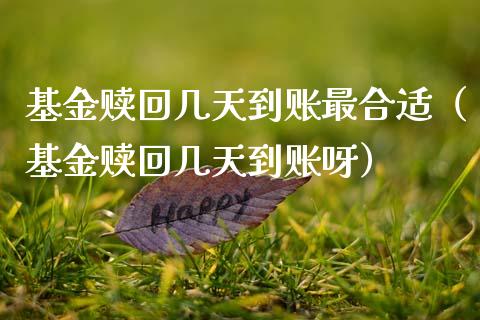 基金赎回几天到账最合适（基金赎回几天到账呀）_https://www.kuaijiepai.net_期货理财_第1张