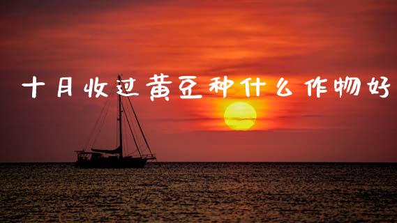 十月收过黄豆种什么作物好_https://www.kuaijiepai.net_期货在线_第1张