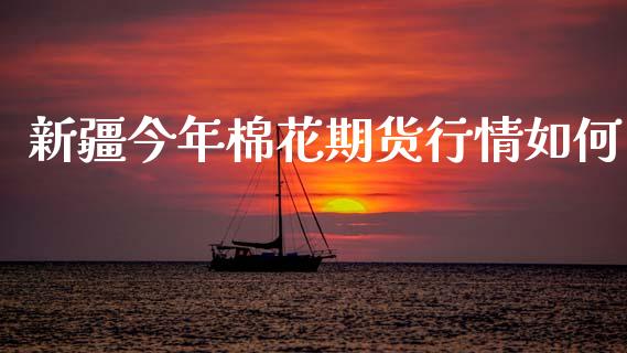 新疆今年棉花期货行情如何_https://www.kuaijiepai.net_期货资讯_第1张