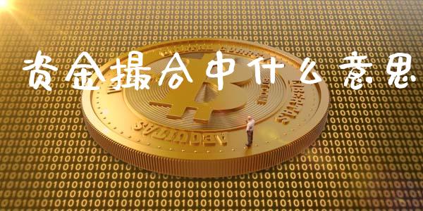资金撮合中什么意思_https://www.kuaijiepai.net_股票理论_第1张