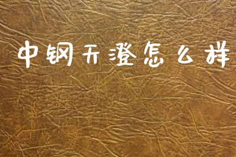 中钢天澄怎么样_https://www.kuaijiepai.net_期货理财_第1张