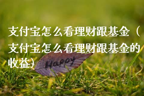 支付宝怎么看理财跟基金（支付宝怎么看理财跟基金的收益）_https://www.kuaijiepai.net_期货理财_第1张