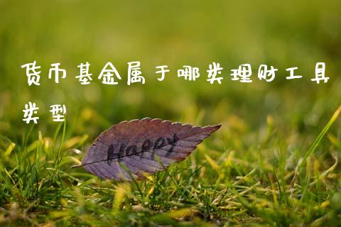 货币基金属于哪类理财工具类型_https://www.kuaijiepai.net_期货理财_第1张