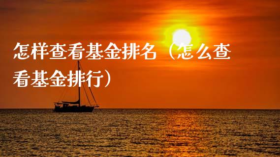 怎样查看基金排名（怎么查看基金排行）_https://www.kuaijiepai.net_投资理财_第1张