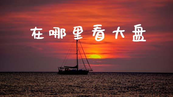 在哪里看大盘_https://www.kuaijiepai.net_国际期货_第1张
