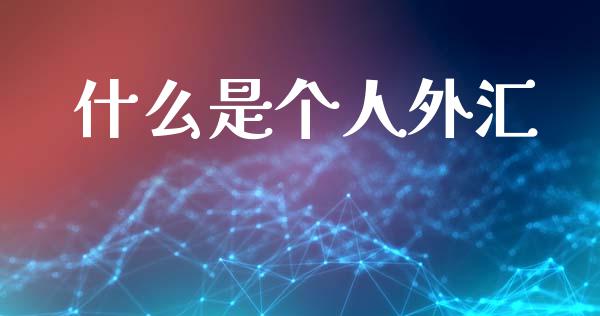 什么是个人外汇_https://www.kuaijiepai.net_国际股建_第1张