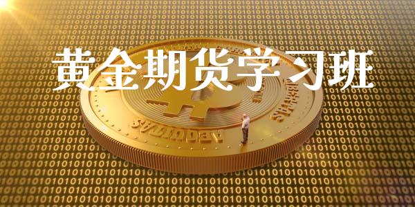 黄金期货学习班_https://www.kuaijiepai.net_期货资讯_第1张