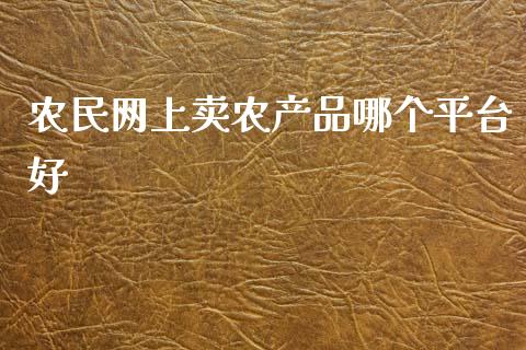 农民网上卖农产品哪个平台好_https://www.kuaijiepai.net_期货在线_第1张