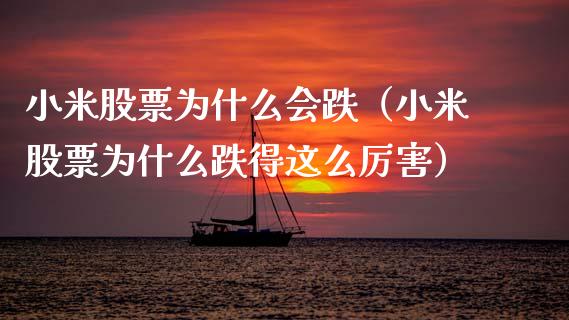 小米股票为什么会跌（小米股票为什么跌得这么厉害）_https://www.kuaijiepai.net_国际股建_第1张