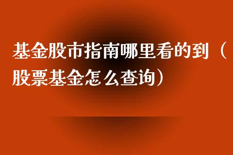 基金股市指南哪里看的到（股票基金怎么查询）_https://www.kuaijiepai.net_期货理财_第1张