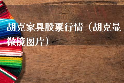 胡克家具股票行情（胡克显微镜图片）_https://www.kuaijiepai.net_股票理论_第1张