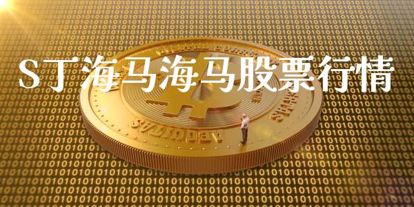 S丁海马海马股票行情_https://www.kuaijiepai.net_新股新闻_第1张
