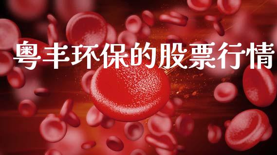 粤丰环保的股票行情_https://www.kuaijiepai.net_股票理论_第1张