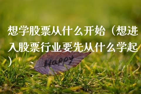 想学股票从什么开始（想进入股票行业要先从什么学起）_https://www.kuaijiepai.net_股票理论_第1张