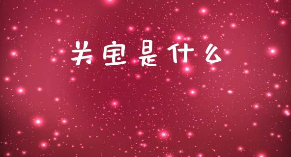 关宝是什么_https://www.kuaijiepai.net_期货资讯_第1张