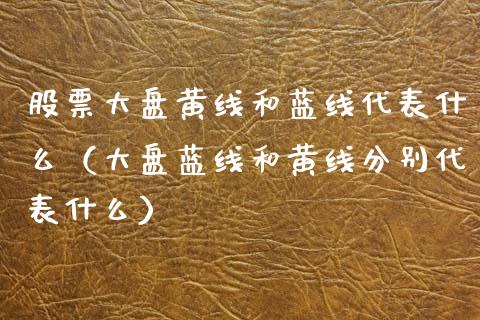 股票大盘黄线和蓝线代表什么（大盘蓝线和黄线分别代表什么）_https://www.kuaijiepai.net_新股新闻_第1张