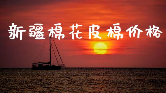 新疆棉花皮棉价格_https://www.kuaijiepai.net_期货资讯_第1张