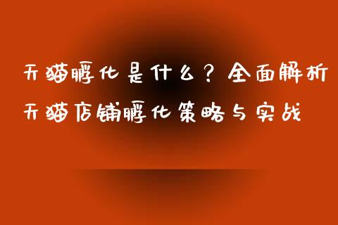 天猫孵化是什么？全面解析天猫店铺孵化策略与实战_https://www.kuaijiepai.net_股票理论_第1张