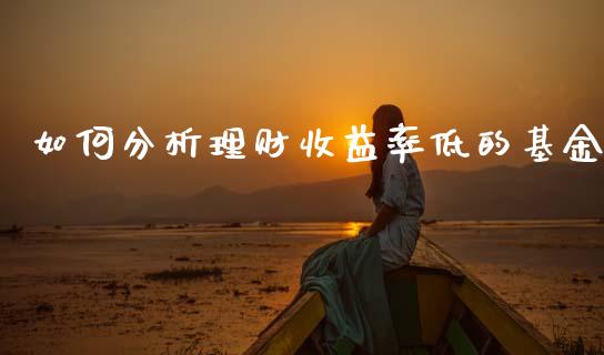 如何分析理财收益率低的基金_https://www.kuaijiepai.net_期货理财_第1张