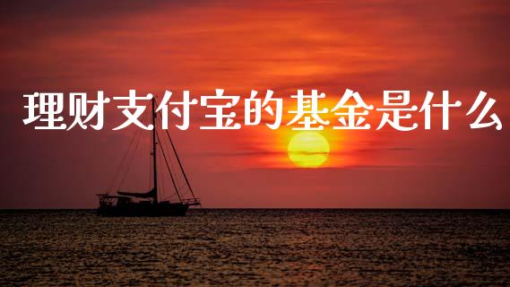 理财支付宝的基金是什么_https://www.kuaijiepai.net_期货理财_第1张