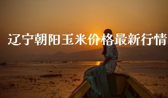 辽宁朝阳玉米价格最新行情_https://www.kuaijiepai.net_期货资讯_第1张