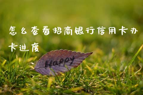 怎么查看招商银行信用卡办卡进度_https://www.kuaijiepai.net_期货在线_第1张