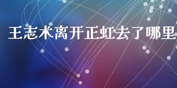 王志术离开正虹去了哪里_https://www.kuaijiepai.net_新股新闻_第1张