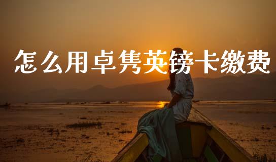 怎么用卓隽英镑卡缴费_https://www.kuaijiepai.net_期货在线_第1张