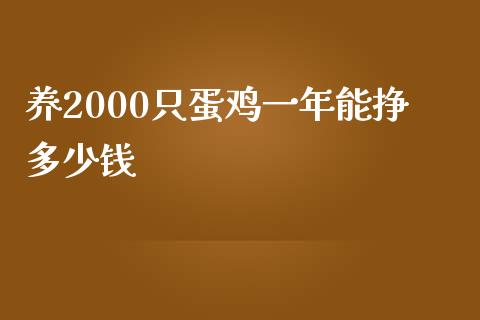 养2000只蛋鸡一年能挣多少钱_https://www.kuaijiepai.net_期货资讯_第1张