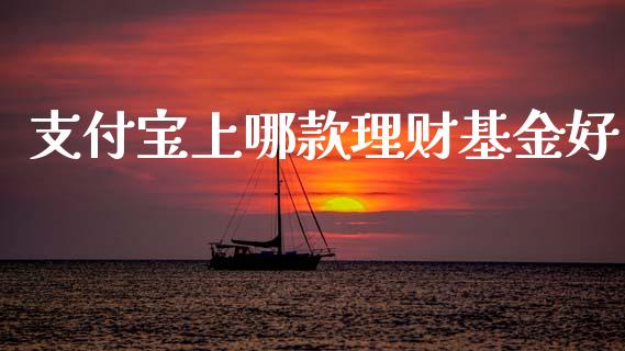 支付宝上哪款理财基金好_https://www.kuaijiepai.net_期货理财_第1张
