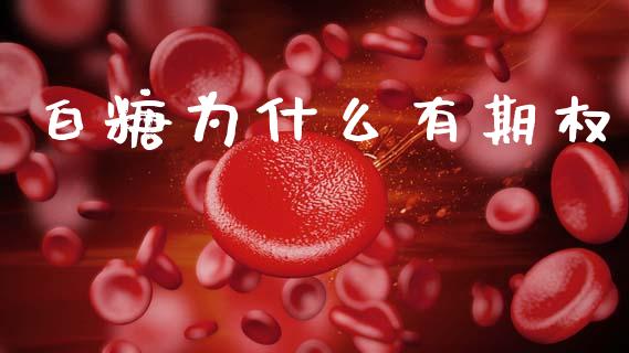 白糖为什么有期权_https://www.kuaijiepai.net_新股新闻_第1张