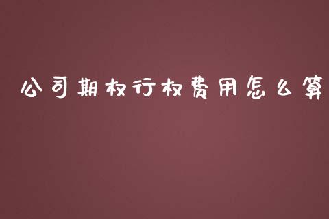 公司期权行权费用怎么算_https://www.kuaijiepai.net_国际股建_第1张