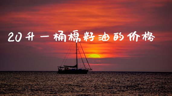 20升一桶棉籽油的价格_https://www.kuaijiepai.net_国际期货_第1张