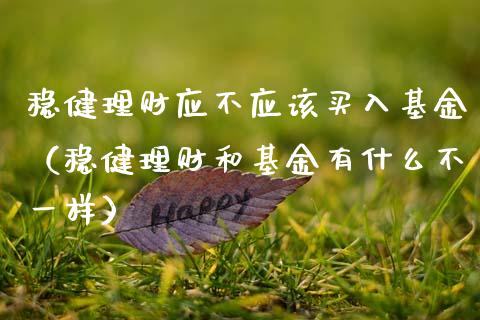 稳健理财应不应该买入基金（稳健理财和基金有什么不一样）_https://www.kuaijiepai.net_期货理财_第1张