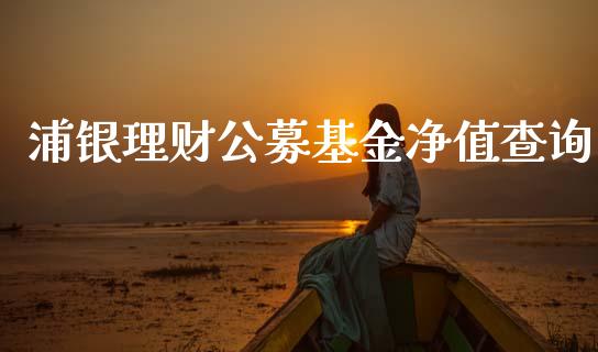 浦银理财公募基金净值查询_https://www.kuaijiepai.net_期货理财_第1张