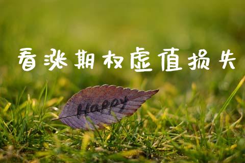 看涨期权虚值损失_https://www.kuaijiepai.net_期货资讯_第1张