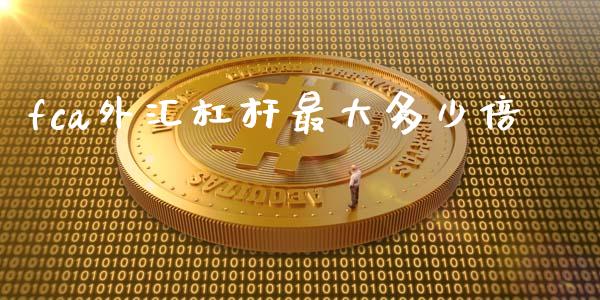 fca外汇杠杆最大多少倍_https://www.kuaijiepai.net_股票理论_第1张