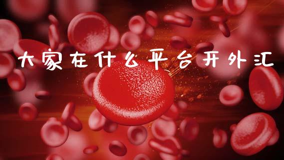 大家在什么平台开外汇_https://www.kuaijiepai.net_国际期货_第1张