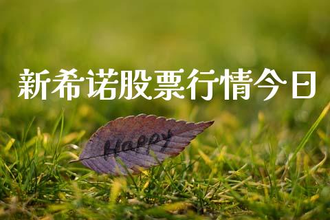 新希诺股票行情今日_https://www.kuaijiepai.net_新股新闻_第1张