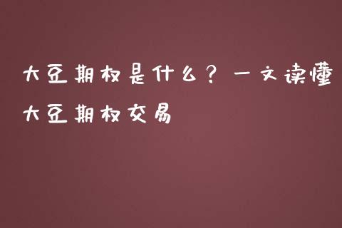 大豆期权是什么？一文读懂大豆期权交易_https://www.kuaijiepai.net_股票理论_第1张