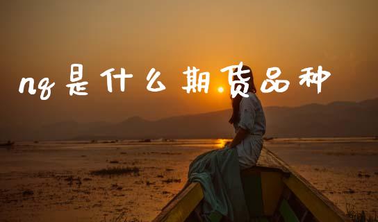 nq是什么期货品种_https://www.kuaijiepai.net_期货在线_第1张