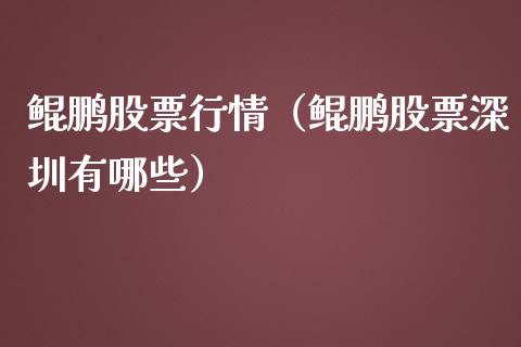 鲲鹏股票行情（鲲鹏股票深圳有哪些）_https://www.kuaijiepai.net_国际股建_第1张