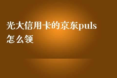 光大信用卡的京东puls怎么领_https://www.kuaijiepai.net_投资理财_第1张